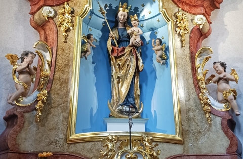 Zdislava (4)